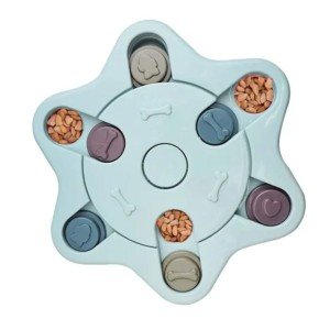 Interactive Slow Feeders for Dog IQ Training