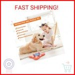 Interactive Dog Puzzle Toys for IQ Training
