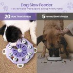 Iveetty Hide Slide Treat Puzzle Toy for Pets