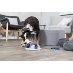 Intermediate Dog Puzzle: Gambling Tower Game