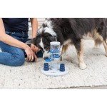 Intermediate Dog Puzzle: Gambling Tower Game