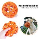 Interactive Dog Puzzle Ball for Teeth Cleaning Fun