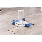 Intermediate Dog Puzzle: Gambling Tower Game