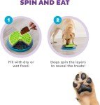 Nina Ottosson Lickin' Layers Puzzle Feeder Toy