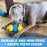 Interactive Chew Puzzle Toys for Dogs