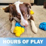 Interactive Chew Puzzle Toys for Dogs