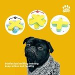 Flooof Level 3 Interactive Dog Puzzle Feeder