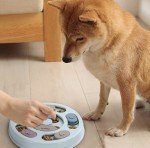 Interactive Puppy Puzzle Toys for IQ Boosting Fun