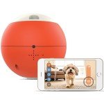 Gosh! EasyPlay Interactive Robotic Pet Puzzle Toy