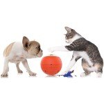 Gosh! EasyPlay Interactive Robotic Pet Puzzle Toy