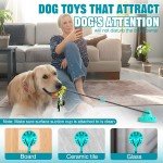 Indestructible Puzzle Toys for Aggressive Chewers