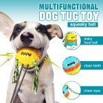 Indestructible Puzzle Toys for Aggressive Chewers