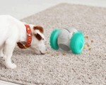 Interactive Dog Puzzle Tumbler Slow Feeder Toy