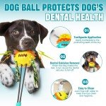 Indestructible Puzzle Toys for Aggressive Chewers