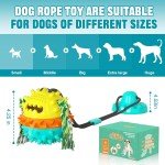Indestructible Puzzle Toys for Aggressive Chewers
