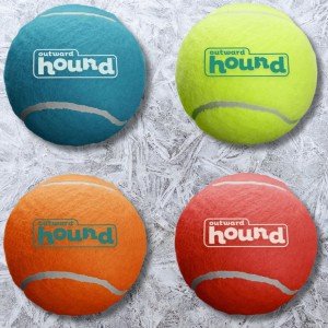 Outward Hound Squeaker Fetch Ballz Dog Toys
