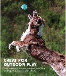 Medium Squeaker Ballz Fetch Toy - 4 Pack
