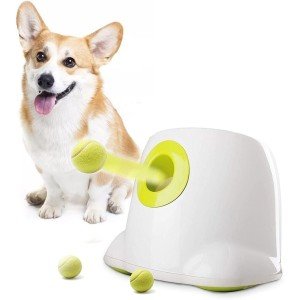 Automatic Dog Ball Launcher with 6 Latex Balls