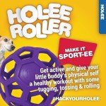 JW Hol-ee Roller Mini Balls for Dogs (4-Pack)