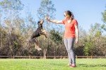 Birthday Fetch Ball for Medium Dogs - 2.5 Inch