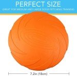 Large Durable Frisbee Disc - 2 Pack Dog Toys