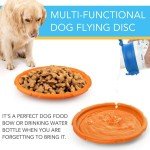 Large Durable Frisbee Disc - 2 Pack Dog Toys