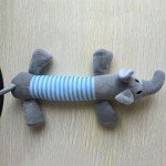 Squeaky Chew Toys for Puppies and Kittens