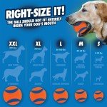 Chuckit Ultra Ball Dog Toy, Medium, Pack of 2