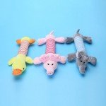 Squeaky Chew Toys for Puppies and Kittens