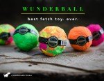 Wunderball Indestructible Floating Dog Fetch Toy