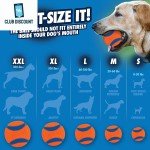 Chuckit Ultra Dog Toy Balls - Medium 4-Pack