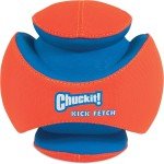 Large Chuckit Kick Fetch Ball for Dogs