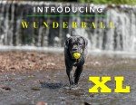 Wunderball Indestructible Floating Dog Fetch Toy