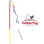 Tether Tug V2 Outdoor Interactive Dog Toy