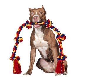 BLINCOO 48" Interactive Rope Tug Toy for Dogs
