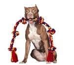 BLINCOO 48" Interactive Rope Tug Toy for Dogs