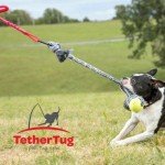 Tether Tug V2 Big Outdoor Dog Toy