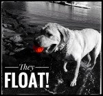 Wunderball Indestructible Floating Dog Fetch Toy