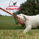 Tether Tug V2 Big Outdoor Dog Toy