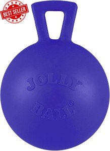 Jolly Pets Heavy-Duty Tug-n-Toss Dog Toy