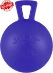 Jolly Pets Heavy-Duty Tug-n-Toss Dog Toy