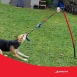 Tether Tug V2 Big Outdoor Dog Toy