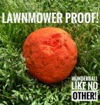 Wunderball Indestructible Floating Dog Fetch Toy