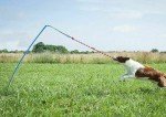 Tether Tug V2 Big Outdoor Dog Toy