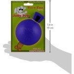 Jolly Pets Heavy Duty Tug-n-Toss Dog Toy Ball