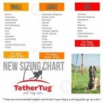 Tether Tug V2 Big Outdoor Dog Toy