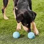 Chuckit Fetch Medley Dog Balls - Pack of 3