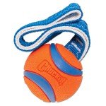 Chuckit! Small Ultra Tug Toy for Dogs
