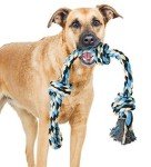 Indestructible Cotton Rope Dog Tug Toy