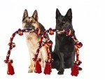 BLINCOO 48" Interactive Rope Tug Toy for Dogs
